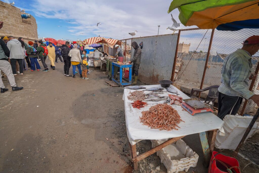 Fishing port in Essaouira. 